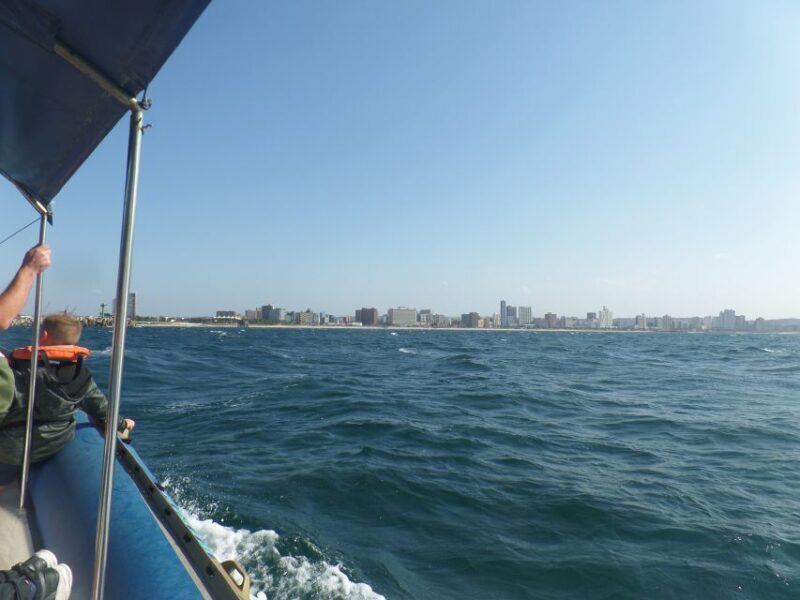 Durban: 1-Hour Boat Cruise from Wilson's Wharf - Authentic Experiences from Real Travelers  