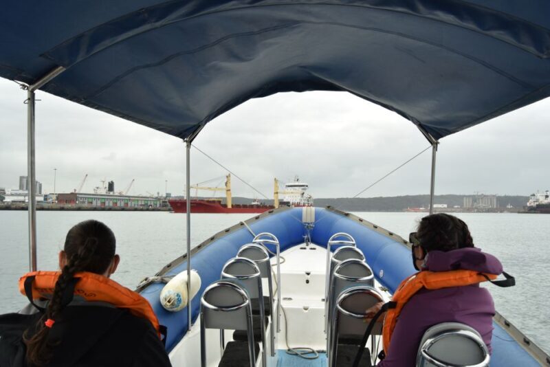 Durban: 1-Hour Boat Cruise from Wilson's Wharf - Who Will Love This Experience?  