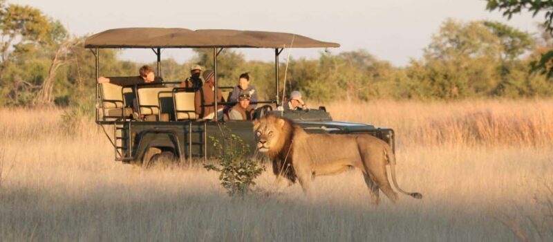 Durban: 2-Day Hluhluwe Imfolozi and Isimangaliso Tour - The Value Proposition