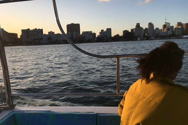 Durban: 30-Minute Harbor Boat Cruise - Key Points