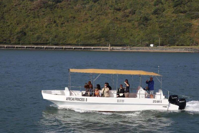 Durban: 30-Minute Harbor Boat Cruise - What Do Guests Really Think?
