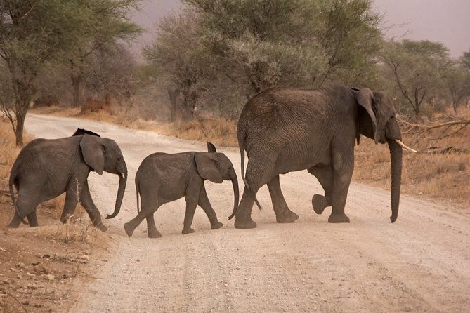 durban-big-5-luxury-safari-at-an-award-winning-game-reserve-zeiss-binoculars-2