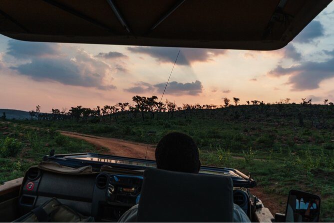 Durban: Big 5 Luxury Safari at an Award Winning Game Reserve  Zeiss Binoculars - The Itinerary in Detail: What to Expect