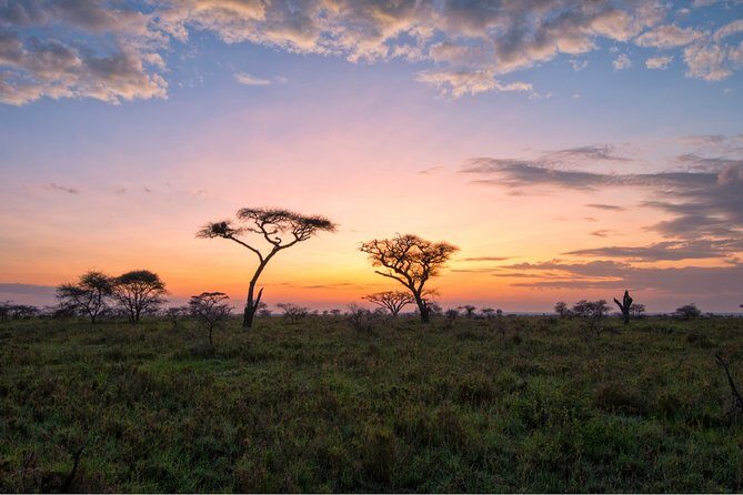 Durban: Big 5 Luxury Safari at an Award Winning Game Reserve  Zeiss Binoculars - Who Would Love This Tour?