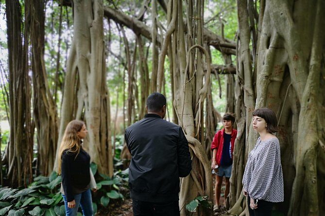 Durban from Within : An Immersive City Tour - The Itinerary in Detail
