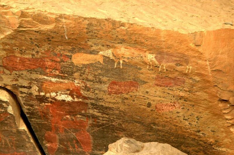 Durban: Giants Cave Paintings & Mandela Capture Site Tour - Early Morning Pickup and Transportation