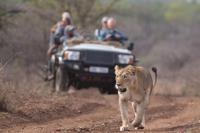 Durban: Go on Safari at 2 Game Reserves (Hluhluwe-Imfolozi) Pro Zeiss Binoculars - Exploring the Itinerary in Detail