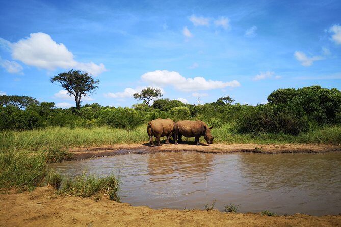 Durban: Go on Safari at 2 Game Reserves (Hluhluwe-Imfolozi) Pro Zeiss Binoculars - Final Words: Who Will Love This Tour?