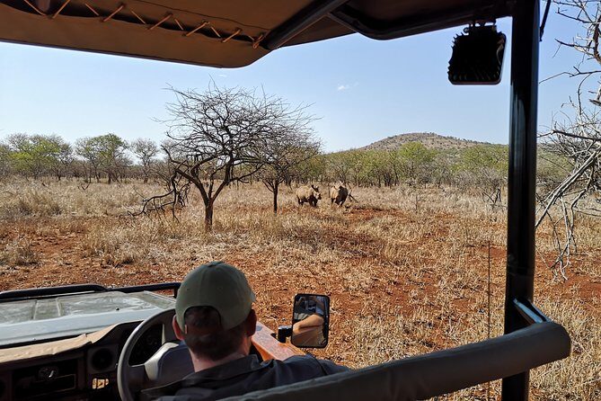 Durban: Go on Safari at 2 Game Reserves (Hluhluwe-Imfolozi) Pro Zeiss Binoculars - FAQ