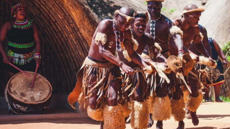 Durban: Half Day Phezulu Safari Park and Durban City Tour - Who Is This Tour Best Suited For?
