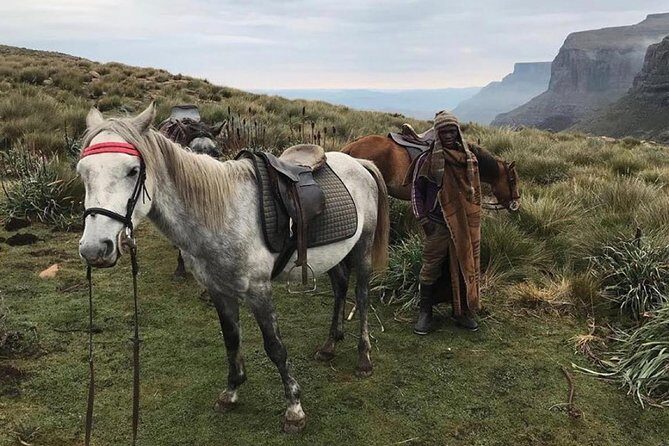 Durban: Journey along the Epic Sani Pass & Lesotho Tour - Exploring the Sani Pass & Lesotho from Durban: An Adventure Worth Taking