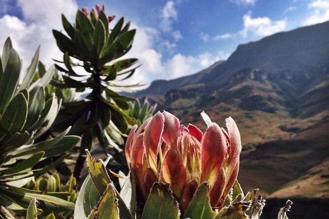 Durban: Journey along the Epic Sani Pass & Lesotho Tour - Final Thoughts