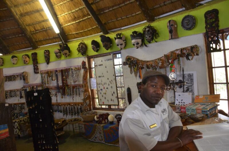 Durban: Phezulu Cultural Village & Reptile Park Tour - The Itinerary: What to Expect