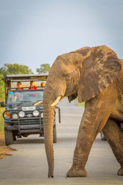 Durban:3 Day Hluhluwe-Imfolozi Park, St Lucia, iSimangaliso - Authenticity and Experience Quality
