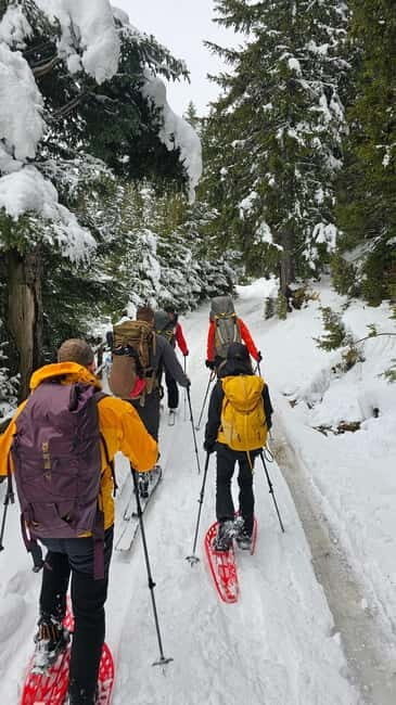 Durmitor National Park: Snowshoeing Hike to Base Camp - Discovering Durmitors Snow-Covered Majesty