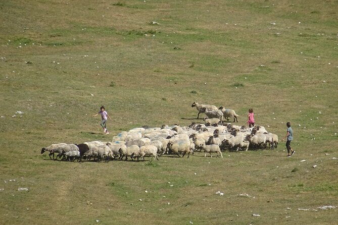 durmitor-np-private-tour-among-katuns-shepherds-and-geological-miracles