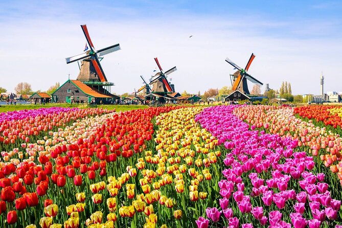 dutch-countryside-and-zaanse-schans-windmills-private-tour