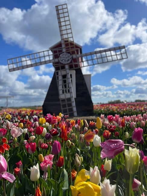 Dutch Countryside: , windmills, Villages, Cheese & Clogs - An In-Depth Look at the Dutch Countryside Tour