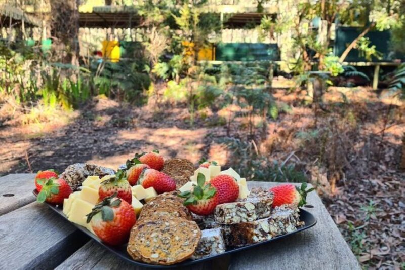 Dwellingup: Guided Hike and Scenic Train Ride with Lunch - An In-Depth Look at the Experience