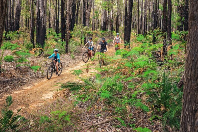 Dwellingup: Munda Biddi Explorer - Pricing and Value