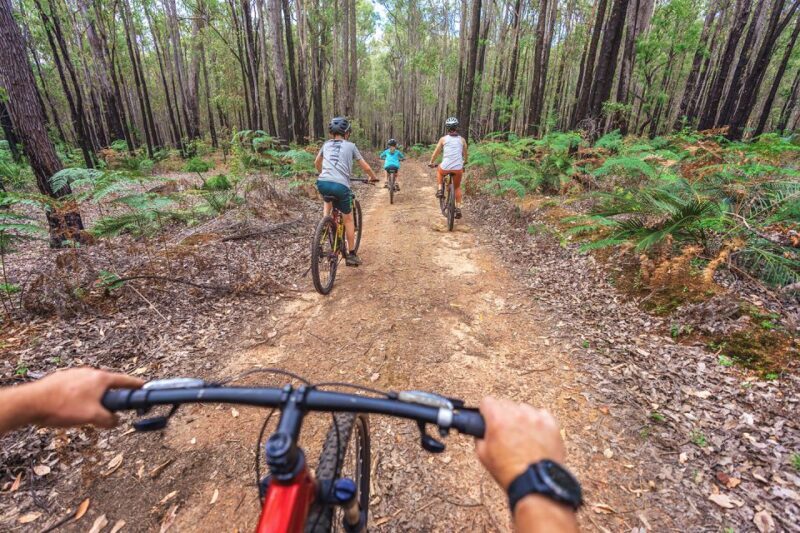 Dwellingup: Munda Biddi Explorer - The Sum Up: Is It Worth It?