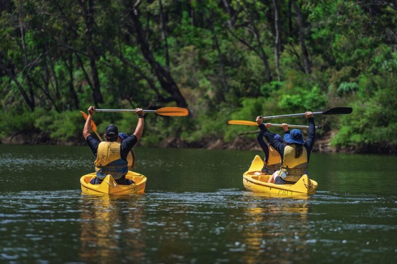 Dwellingup: Paddle 'n' Picnic Self-Guided Tour - Authentic Insights from Reviewers