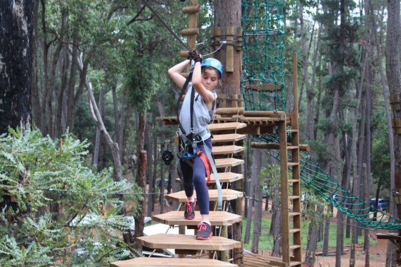 Dwellingup: Tree Ropes Course - Introduction