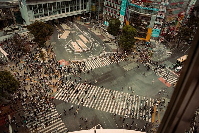 dynamic-tokyo-private-custom-walking-tour