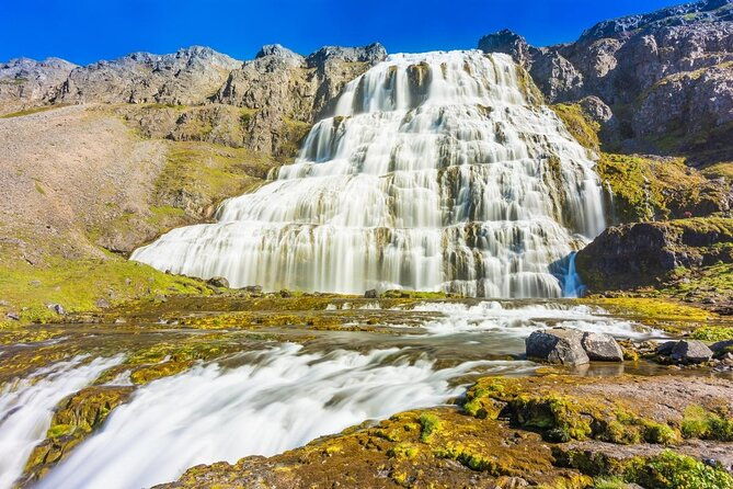 dynjandi-waterfall-iceland-farm-visit-tour