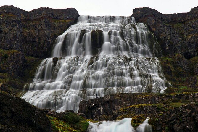 dynjandi-waterfall-iceland-farm-visit-tour