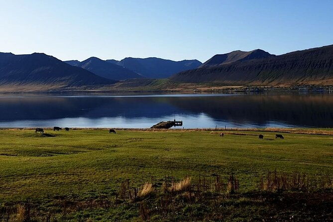 dynjandi-waterfall-iceland-farm-visit-tour