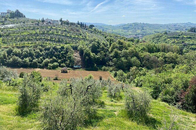 e-bike-2-5-hour-florence-hills-with-fresh-olive-oil-and-bread