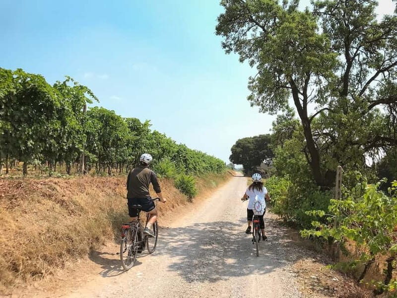 E-bike adventure among villages and medieval castles - The Sum Up: Who Is This Tour Perfect For?