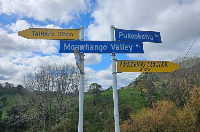 E Bike Adventure on The Laughing Moa Loop - The Return and End of the Tour