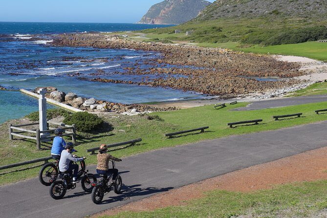 E-Bike Cape Peninsula tour - The Sum Up