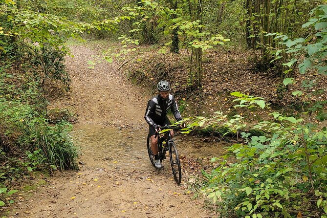 e-bike-chianti-classico-tuscany-tour-with-wine-lunch-at-farm