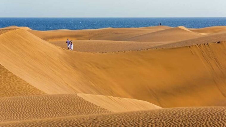 e-bike-city-tour-with-camel-safari-on-maspalomas-sand-dunes