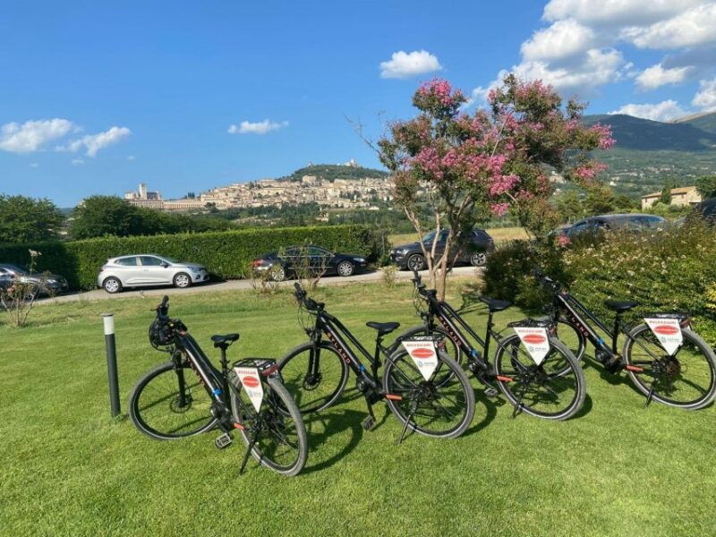 e-bike-citybike-rental-full-day