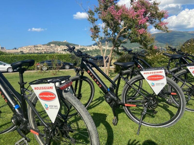 e-bike-citybike-rental-full-day
