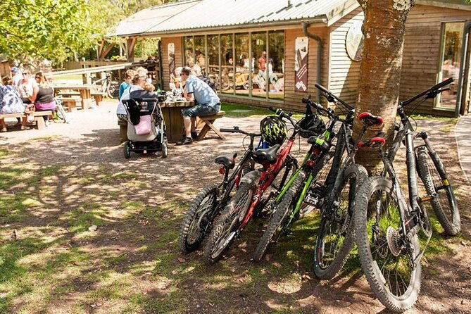 e-bike-day-trip-with-lunch-to-harrys-rock-or-corfe-castle