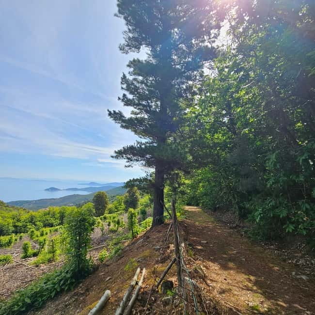 E bike Excursions and Lunch in Monte Capanne - A Closer Look at the Itinerary and Experience