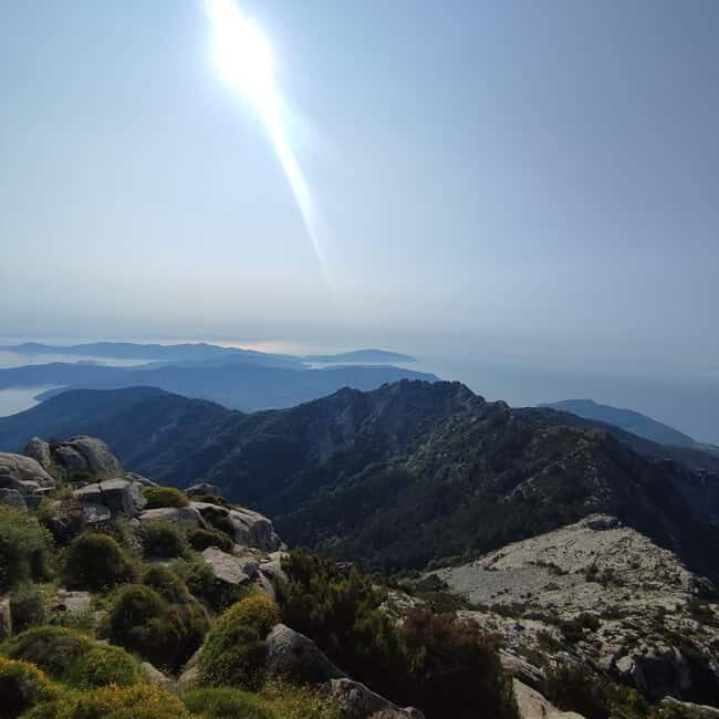 E bike Excursions and Lunch in Monte Capanne - Why This Tour Works Well