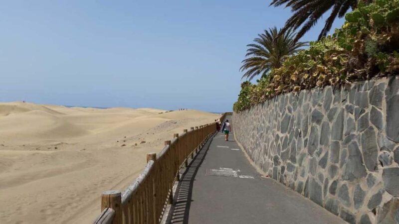E-Bike Family: CitySightseeing Maspalomas Dunes,Playa Ingles - Practical Tips for Travelers