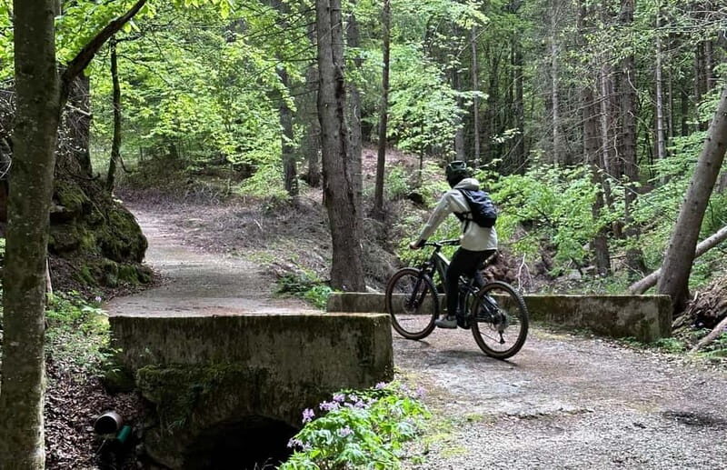 E-BIKE FAMILY TOUR: Andalo and Priori area - Exploring the Andalo and Priori Area on E-bikes