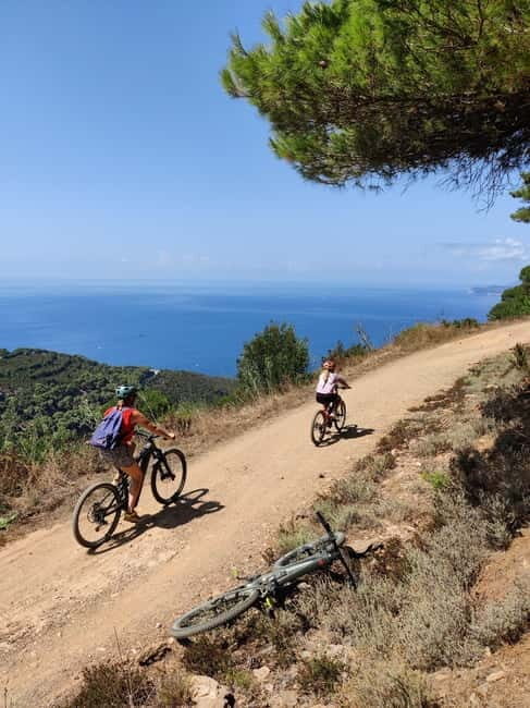 E-Bike Family Tour in the Seagull Coast Nature Reserve - Who Should Consider This Tour?