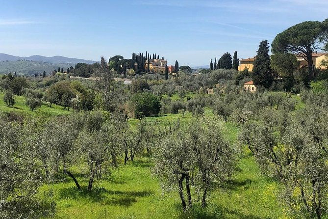 e-bike-florence-tuscany-self-guided-ride-with-vineyard-visit
