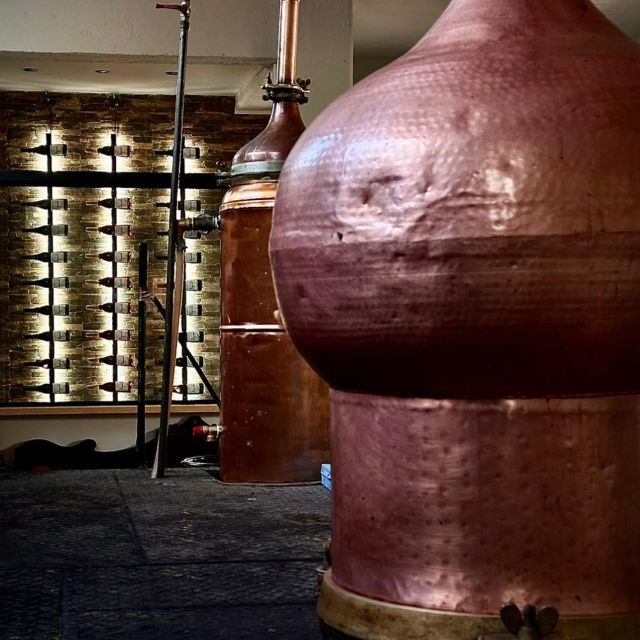 e-bike-full-day-olive-oil-factory-wine-tasting