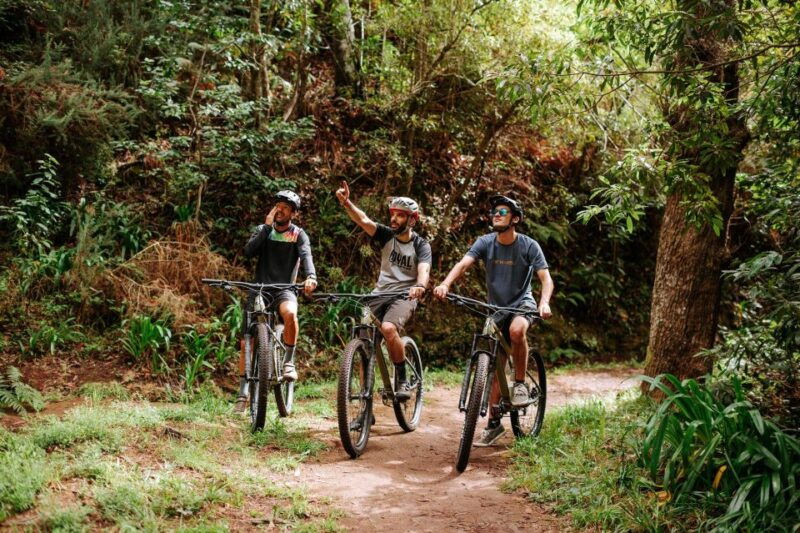 e-bike-guided-tour-belle-vue-mountain-biking