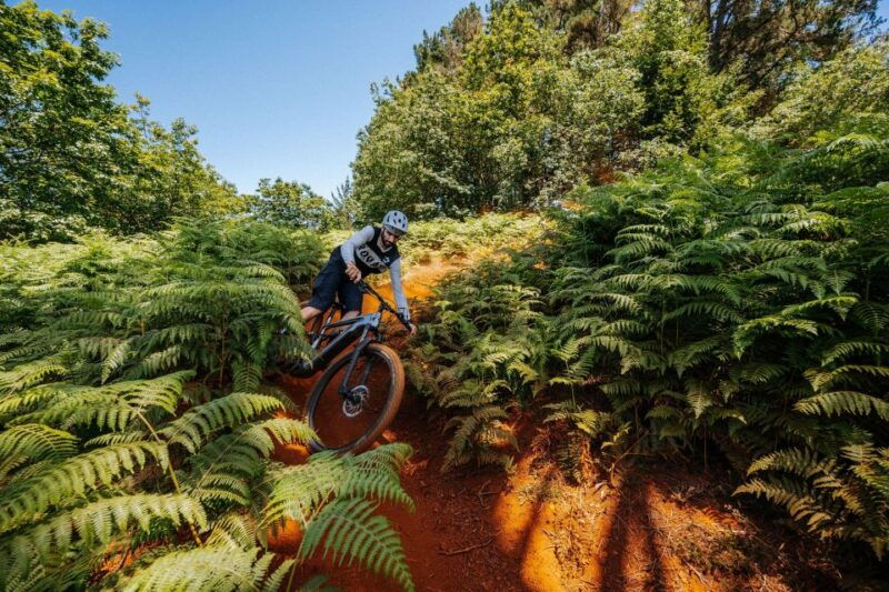 e-bike-guided-tour-belle-vue-mountain-biking