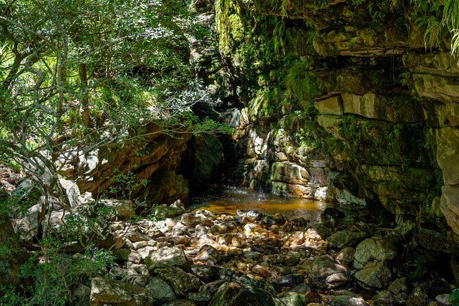 E-bike & hike Jonkershoek nature reserve Adventure, Stellenbosch - Who Would Love This Tour?